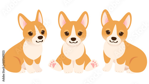 コーギーの子犬達の全身イラストセット