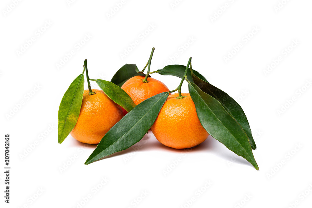 three tangerines clementine with leafs on a white background three tangerines clementine with leafs on a white background
