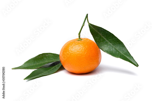 clementine mandarin with leafs on a white background
