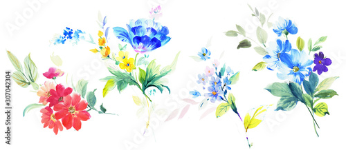 Watercolor flowers illustration