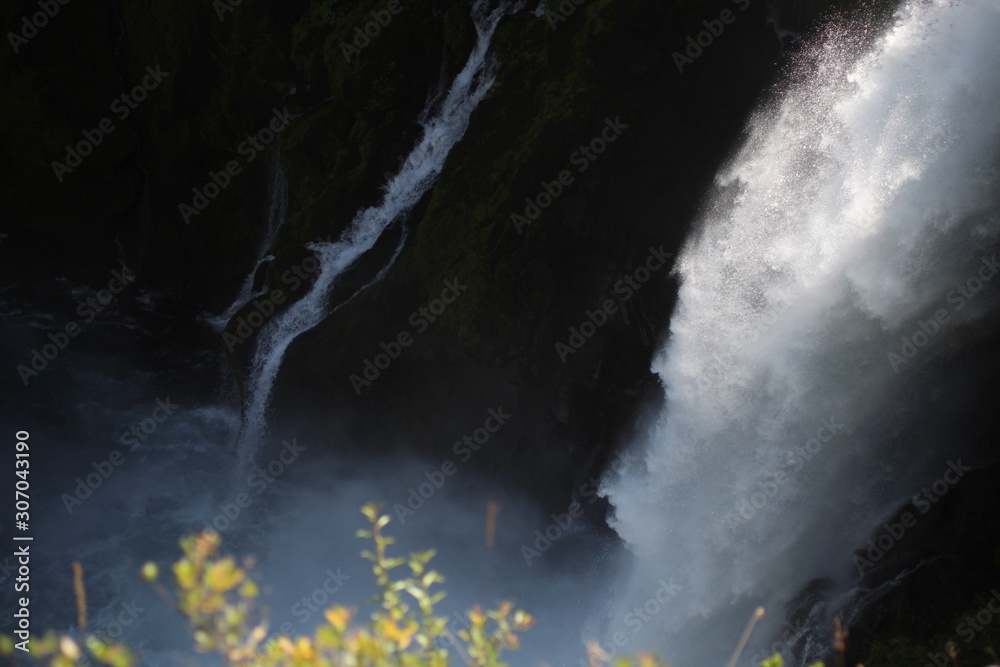 Fototapeta premium waterfall in the forest