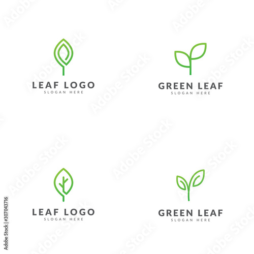 Green growth leaf logo template collection, line style vector design