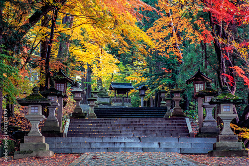 191112神社参道F013 photo