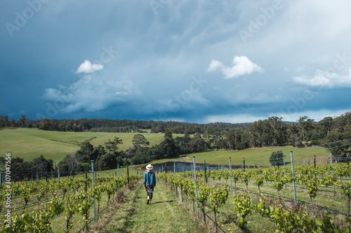 Young female walking in the vineyards in Tasmania, wearing hat and skirt, fashionable