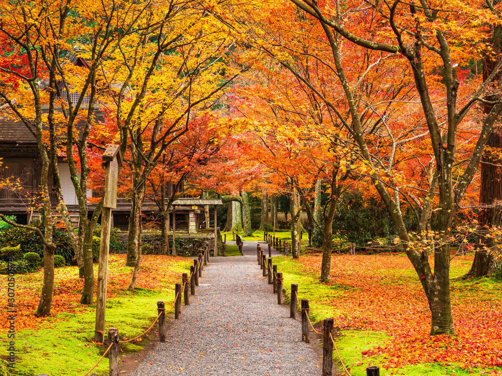 秋の京都　三千院