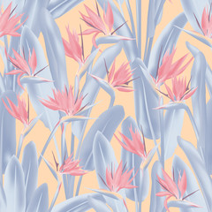 Fototapete Tropische Paradiesblumen-Muster Strelitzia Kranichblume Tropenmuster Dschungel  © SunwArt