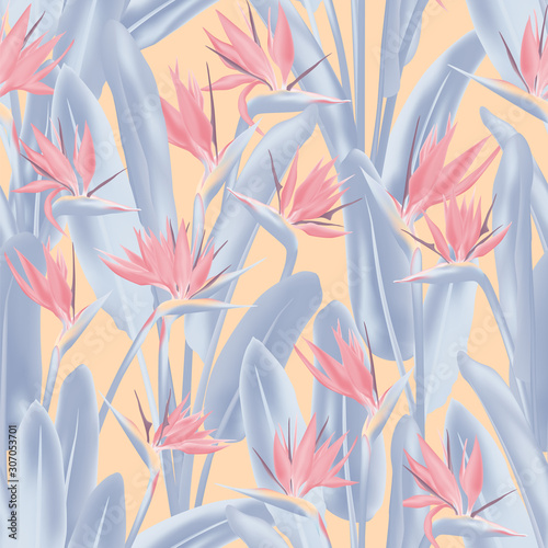 Tropical crane flower vector seamless pattern. Jungle plant paradise tropical summer fabric design. South African plant tropical blossom of crane flower, strelitzia. Floral textile print.