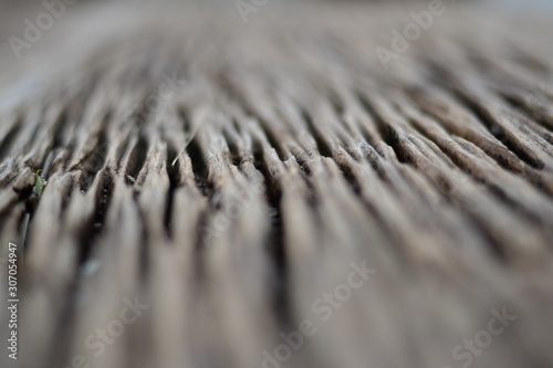 wooden on  background