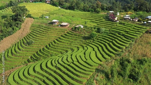 Aerial shot of the marvelous teraces rice field in mountains during sunset in Thailand. Beautiful Pa Bong Piang terraced rice fields, Mae Chaem, Chiang Mai Thailand in harvest season. photo