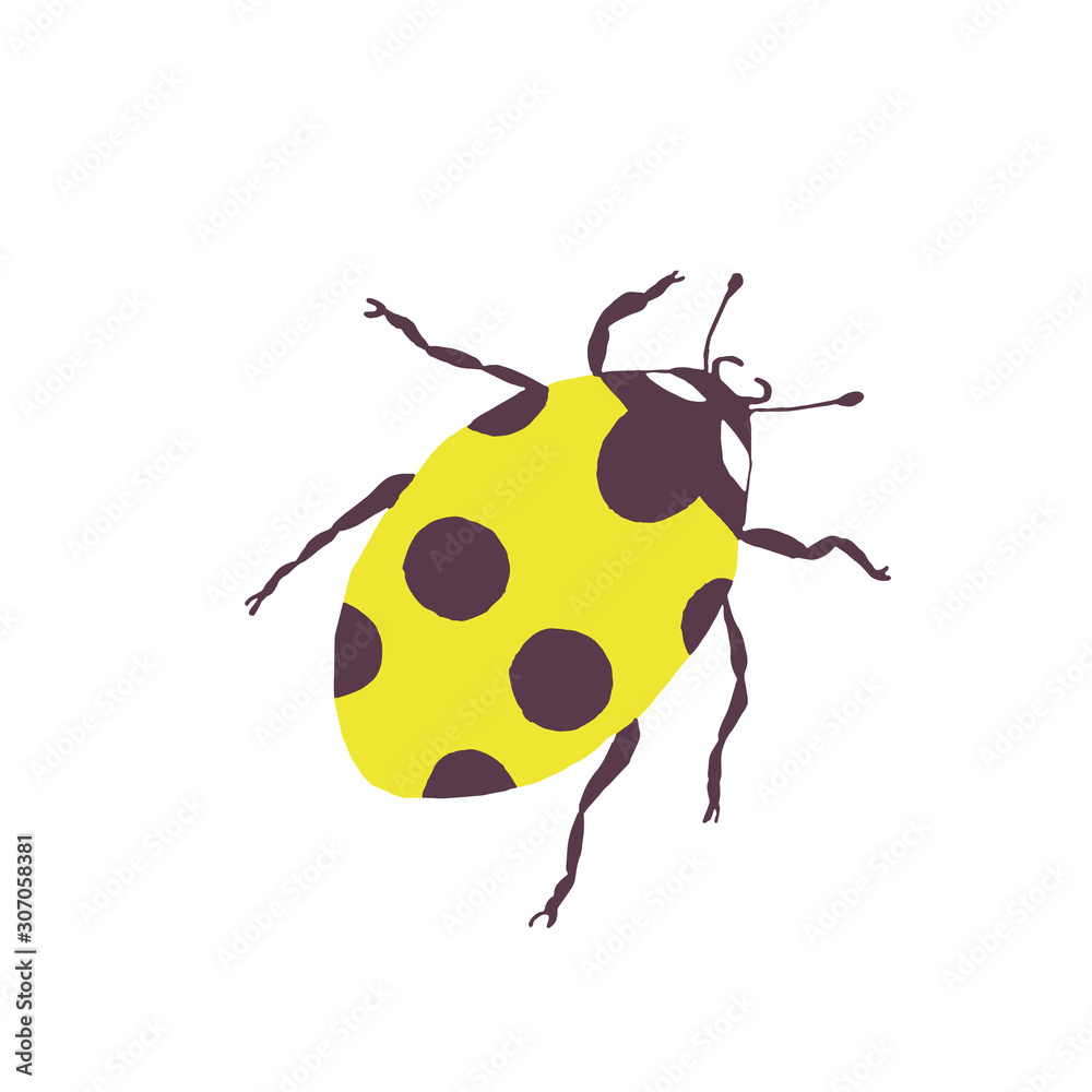 vector ladybug - element for design. postcard, poster, icon, decor. insect vector ladybug - element for design. postcard, poster, icon, decor. insect