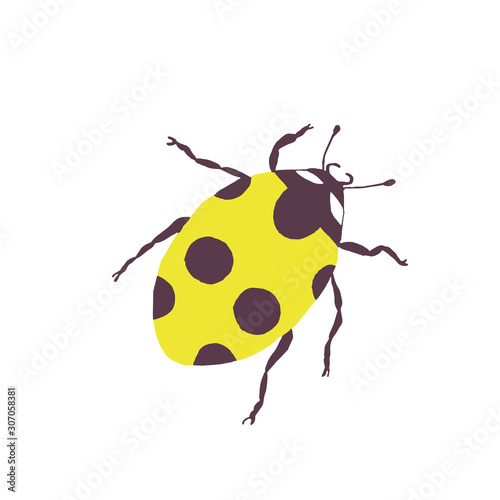 vector ladybug - element for design. postcard, poster, icon, decor. insect © Ирина Самойлова