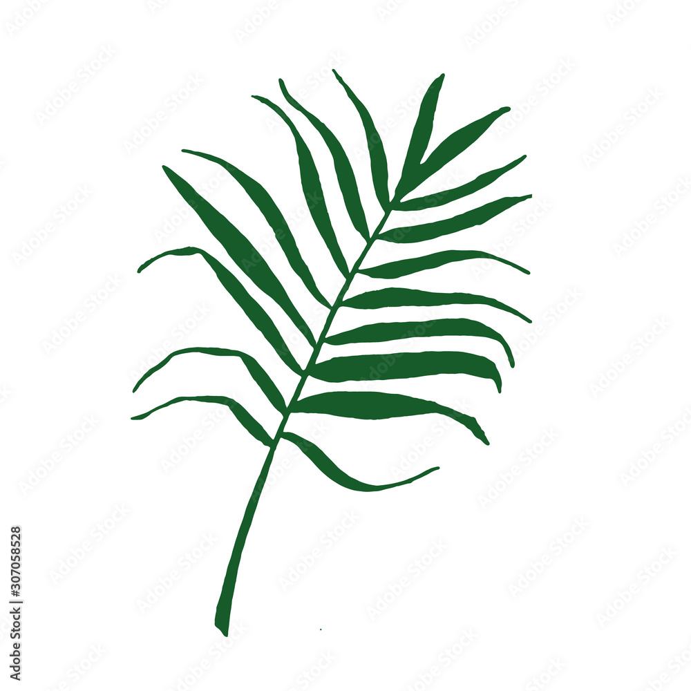 vector silhouette of tropical leaf palm tree element for design. postcard, poster