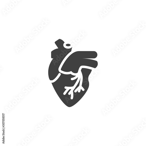 Human heart vector icon. filled flat sign for mobile concept and web design. Heart with aorta and veins glyph icon. Symbol, logo illustration. Vector graphics