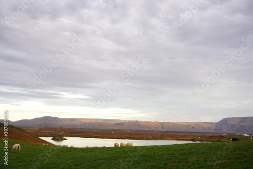アイスランドのミーヴァトン湖