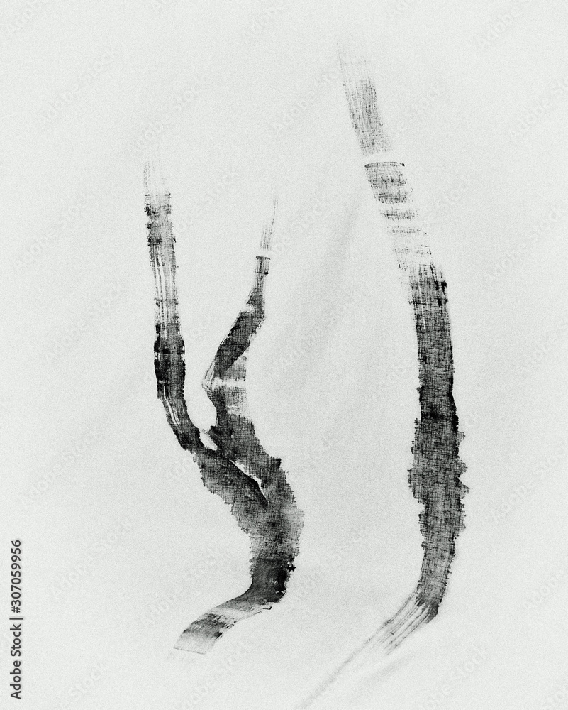 Fototapeta premium Black and white tree
