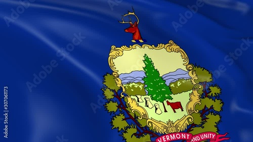 Photo realistic slow motion 4KHD flag of the US State of Vermont waving in the wind.  Seamless loop animation with highly detailed fabric texture in 4K resolution.