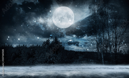 Dark abstract winter forest...