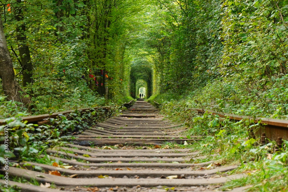 Obraz premium Tunnel of love