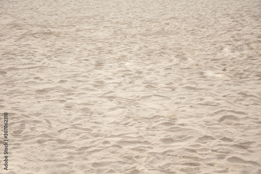 sand on the beach background. Top view