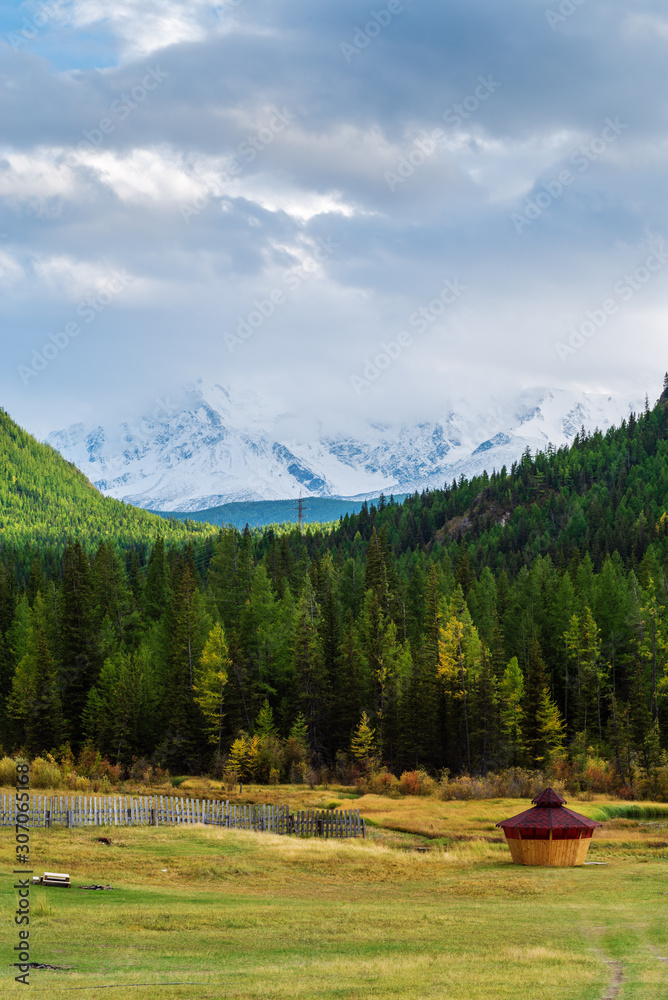 Autumn mountain landscape with forest and snowy mountain range. Mountain Altai, Russia