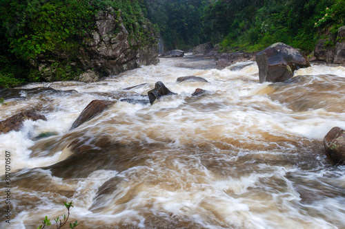 Stream in Ranomafana National Park, Madagascar photo