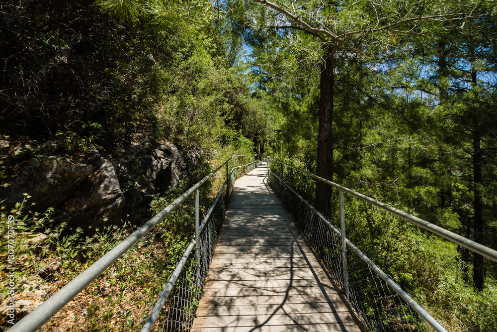 Fototapeta premium Wooden trail through the forest in the mountains.