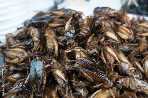 Fried crickets, Amazing street food.