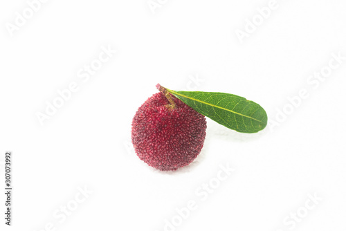A bayberry with a green leaf on a white background
