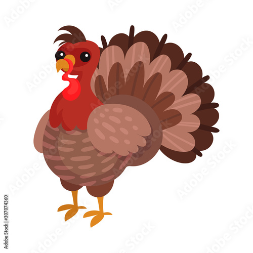 Turkey Bird as Thanksgiving Feast Symbol Vector Illustration
