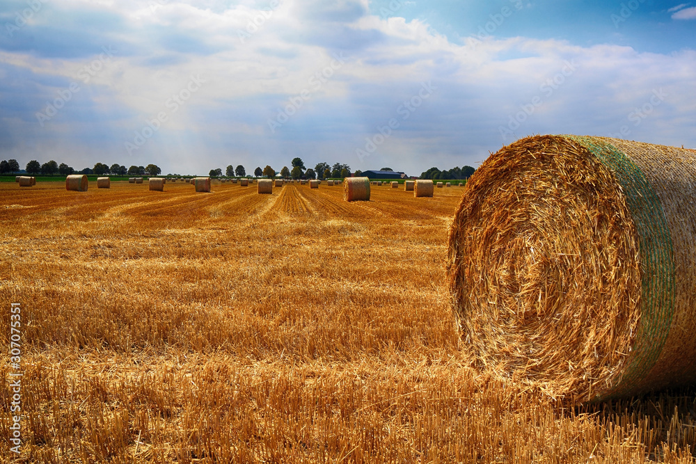 autumn, straw bale, straw bales, straw, recreation, harvest, agriculture, field, crop, yellow, farm, summer, landscape, rural, sky, hay, wheat, nature, bale, blue, grain, gold, meadow, dry, golden, fa
