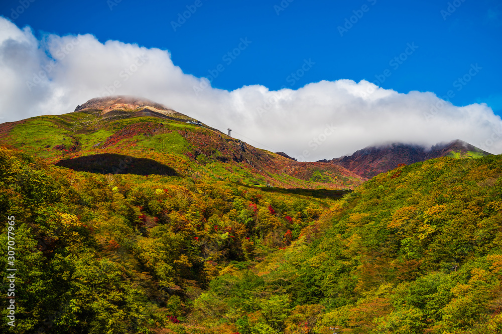 那須の紅葉　Leaves change color in the autumn.