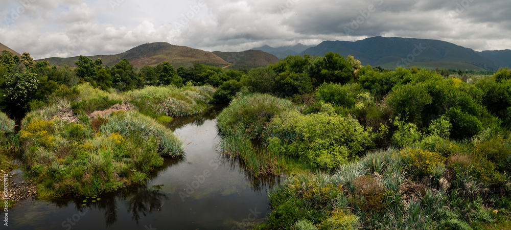 View of the tree lined Riviersonderend River flowing under a brooding, cloudy sky. Near Greyton. Western Cape. South Africa. View of the tree lined Riviersonderend River flowing under a brooding, cloudy sky. Near Greyton. Western Cape. South Africa.