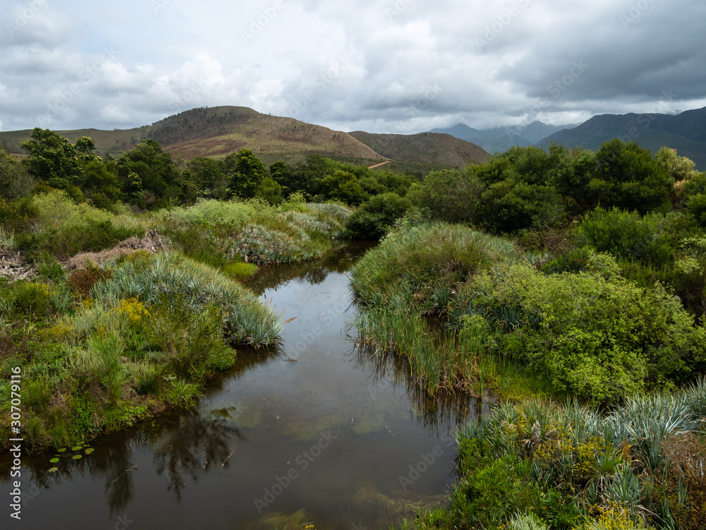 View of the tree lined Riviersonderend River flowing under a brooding, cloudy sky. Near Greyton. Western Cape. South Africa.