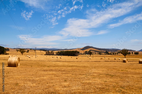 Hay rolls in rural Victoria farming country, Victoria, Australia