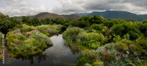 View of the tree lined Riviersonderend River flowing under a brooding, cloudy sky. Near Greyton. Western Cape. South Africa.