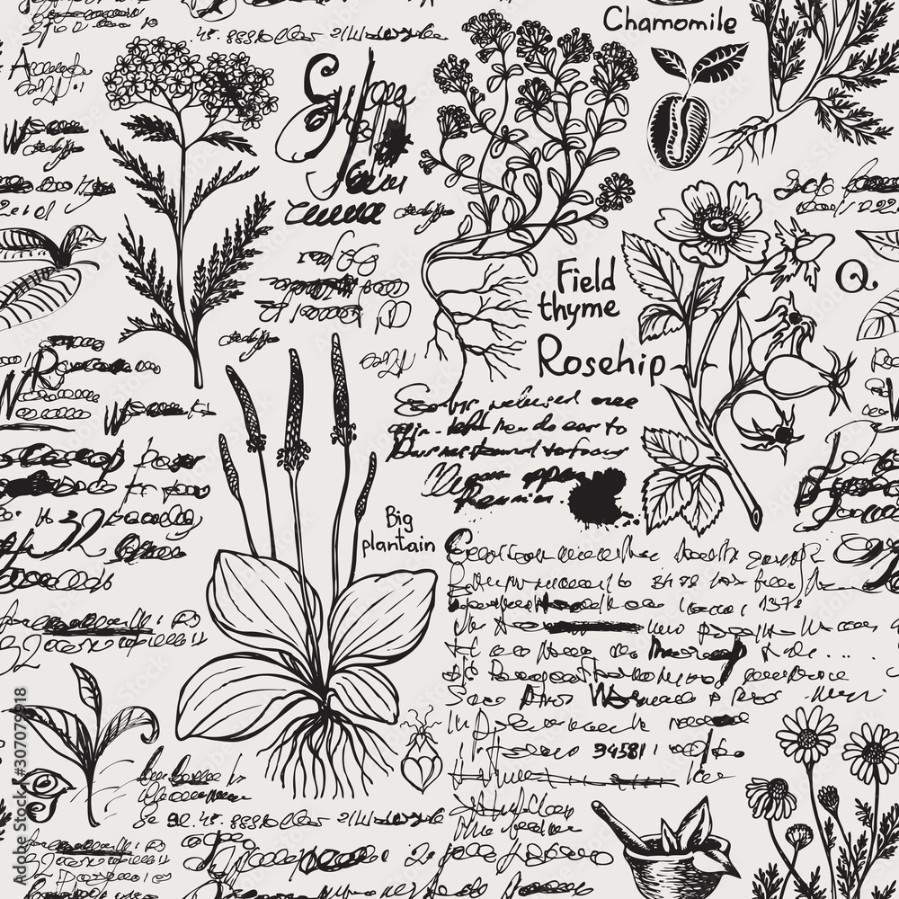Vector seamless pattern on the theme of medicine and herbal treatment in retro style. Repeatable background with old hand-drawn sketches, unreadable notes, various herbs and blots.