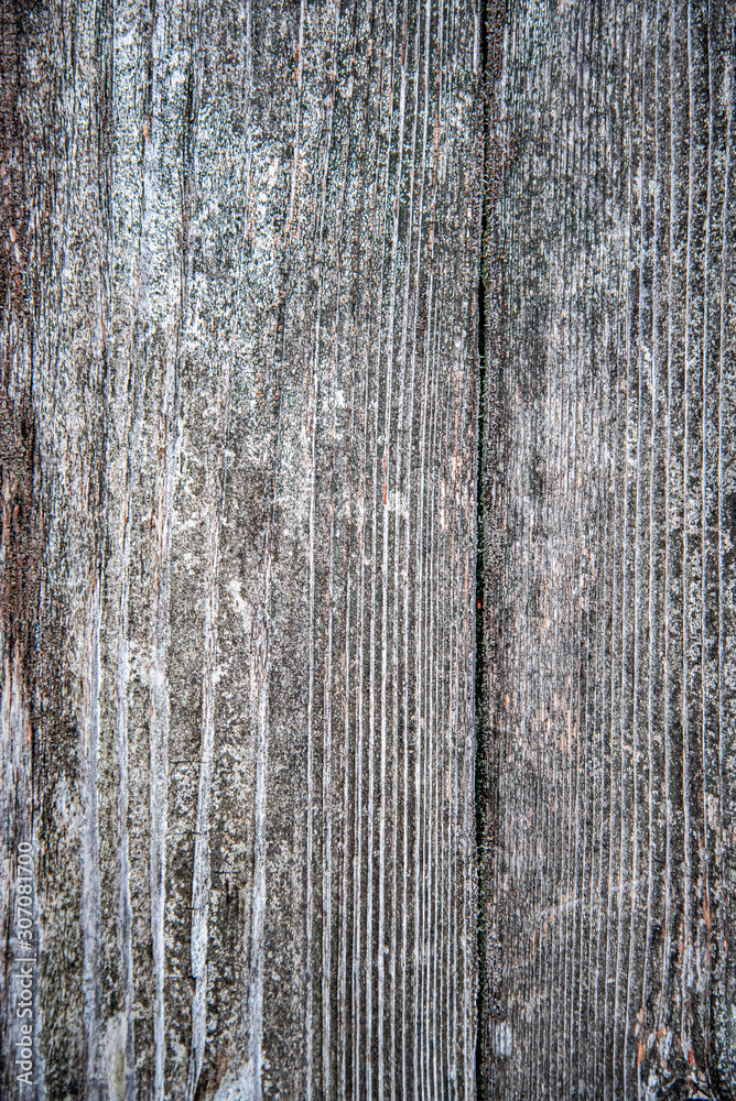 Obraz premium 木の素材