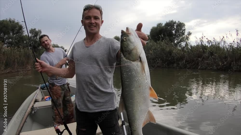 Anglers fishing for asp. Young fisherman shows the asp fish (Leuciscus aspius) on camera Anglers fishing for asp. Young fisherman shows the asp fish (Leuciscus aspius) on camera