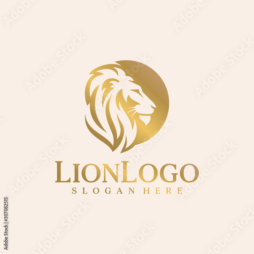 Lion logo design vector template illustration