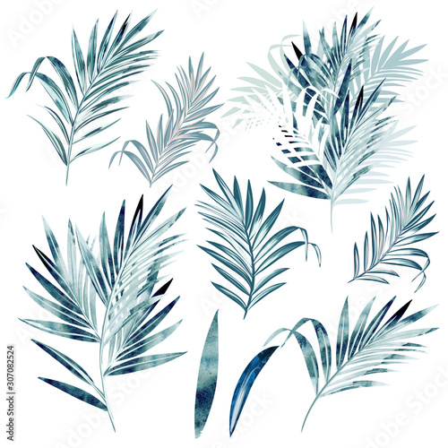 Big vector collection of palm leaves in watercolor style