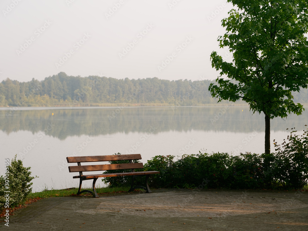Obraz premium Park recreation area by the lake. Wolsztyn, Poland
