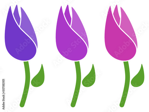 Tulpen