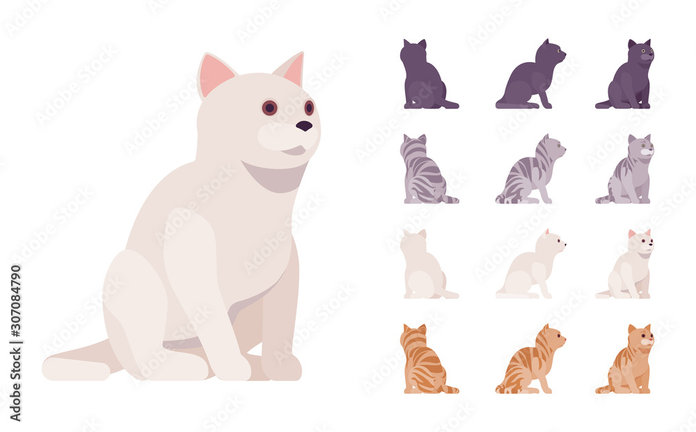 White, black, orange, grey striped pedigree cat sitting set. Active healthy kitten with beautiful fur, cute funny pet, home playful companion. Vector flat style cartoon illustration different views
