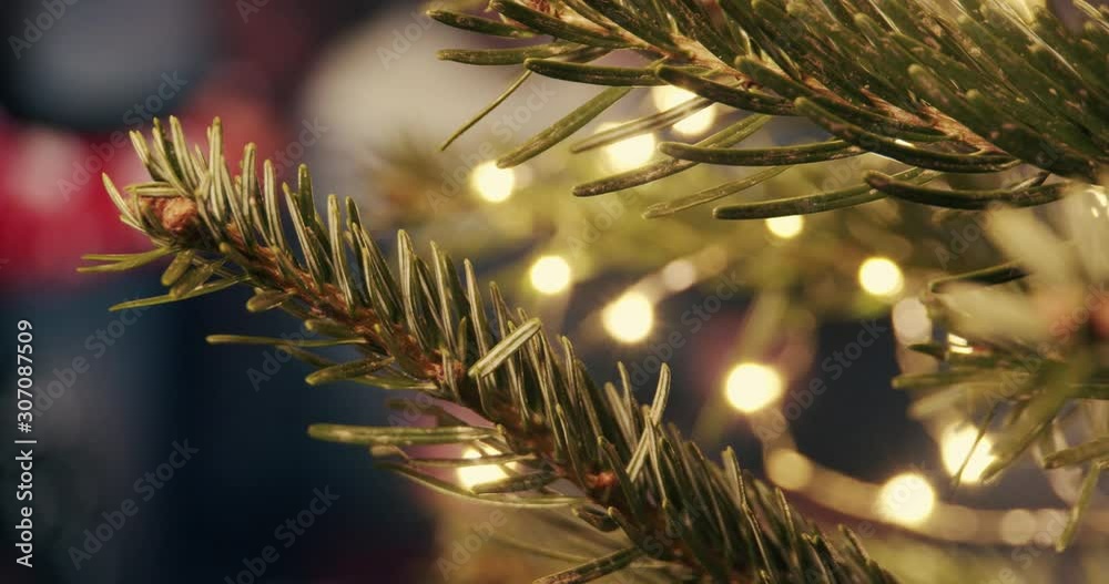 family embracing each other behind a christmas tree