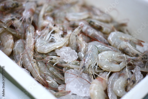 Fresh shrimp at the market