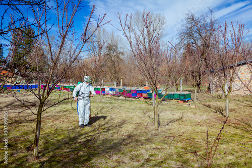 Gardener wearing protective overall sprinkles fruit trees with long sprayer, apiary is in the orchard