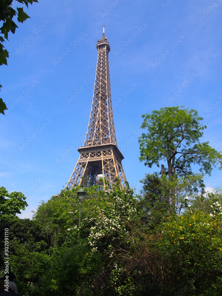 The Eiffel Tower seen through the green trees, Paris, France The Eiffel Tower seen through the green trees, Paris, France