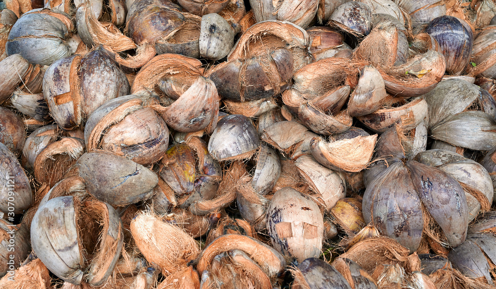 Drying coconut husks in the village for coals - background Drying coconut husks in the village for coals - background
