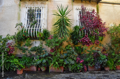 A small street among the old houses of Sessa Aurunca, a medieval village in the province of Caserta