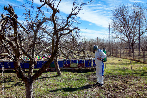 Gardener wearing protective overall sprinkles fruit trees with long sprayer, apiary is in the orchard © Roman_23203